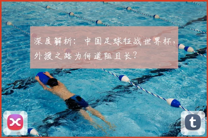 深度解析:中国足球征战世界杯,外援之路为何道阻且长?