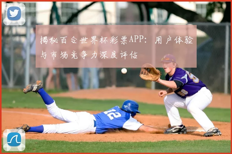 揭秘百合世界杯彩票APP:用户体验与市场竞争力深度评估