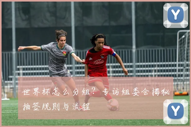 世界杯怎么分组？专访组委会揭秘抽签规则与流程